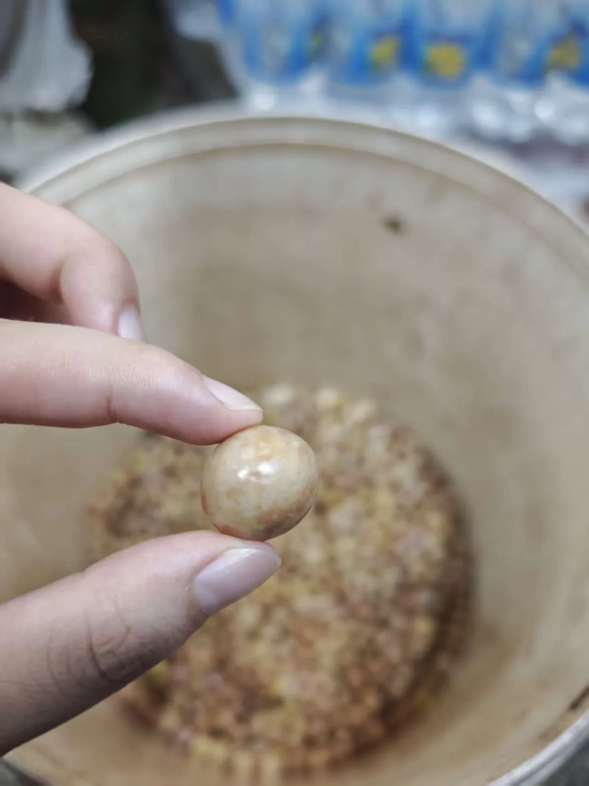鸡头米去皮过程特写